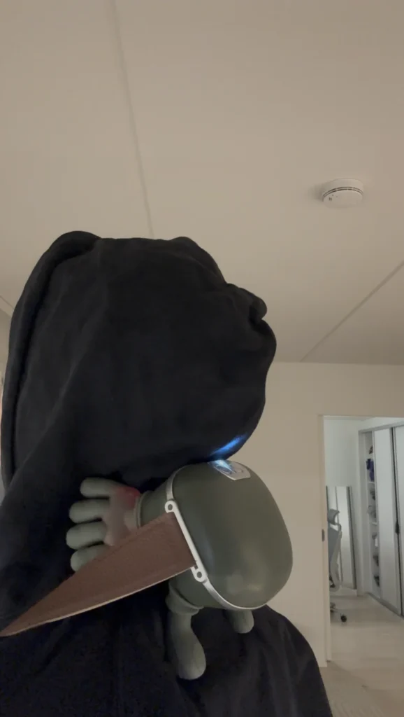 paras niskahierontalaite